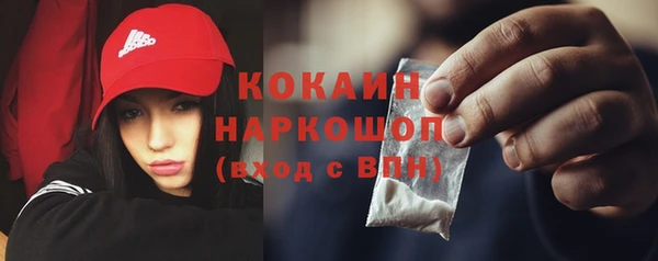 PSILOCYBIN Волосово