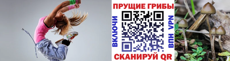 Псилоцибиновые грибы мицелий  Южа 